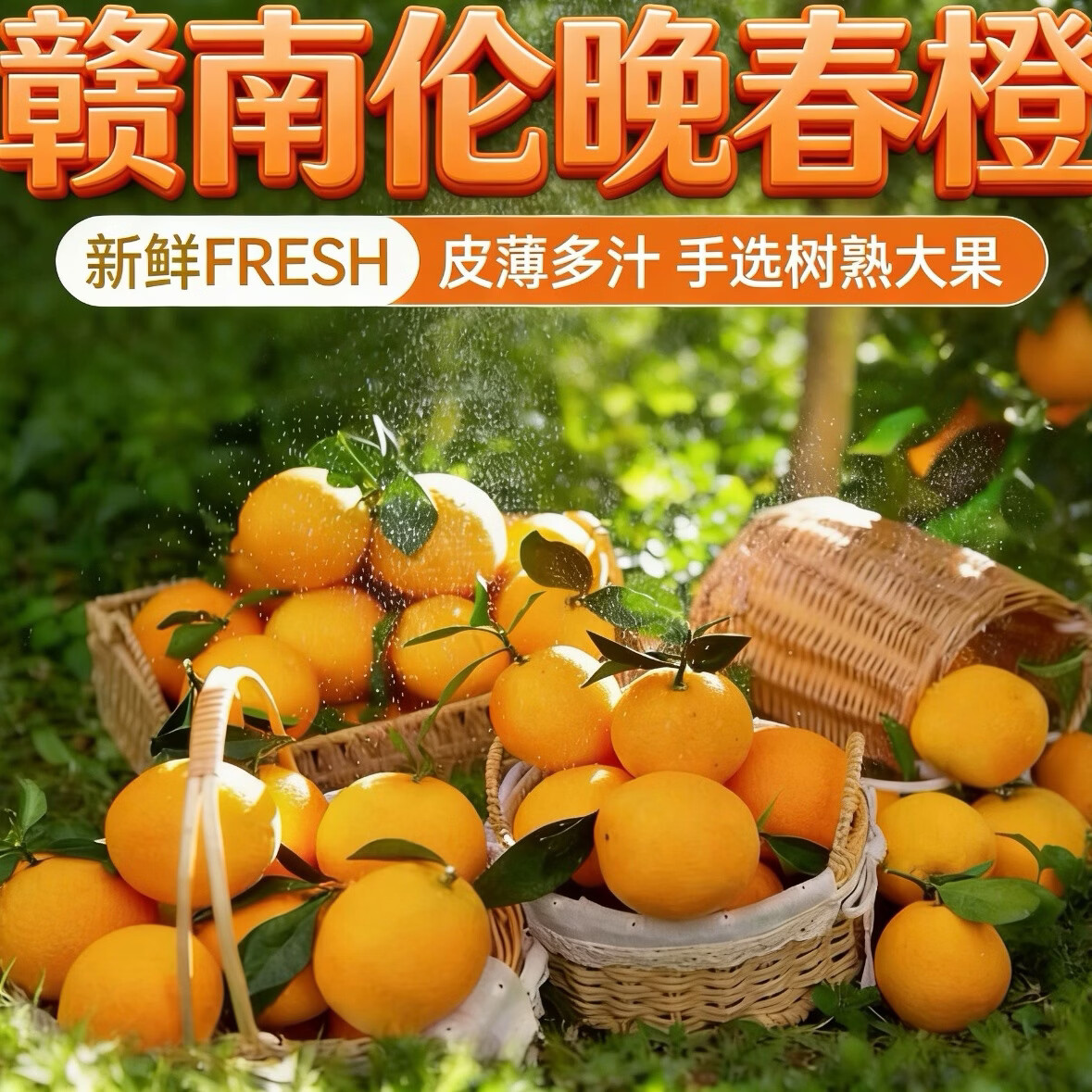 赣南脐橙江西赣南伦晚信丰伦晚脐橙整箱当季新鲜应季水果产地直发现摘橙子 75mm-80mm中果 20斤