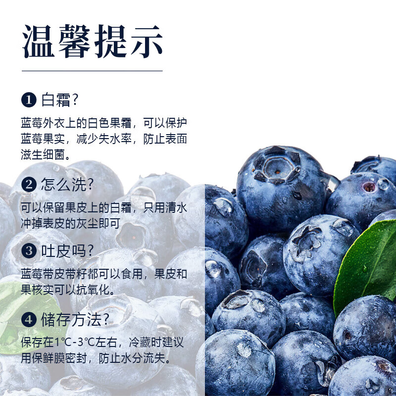 果食鲜丰四川高山蓝莓新鲜水果蓝莓整箱生鲜时令水果 8盒/单果【15-18mm】/800g