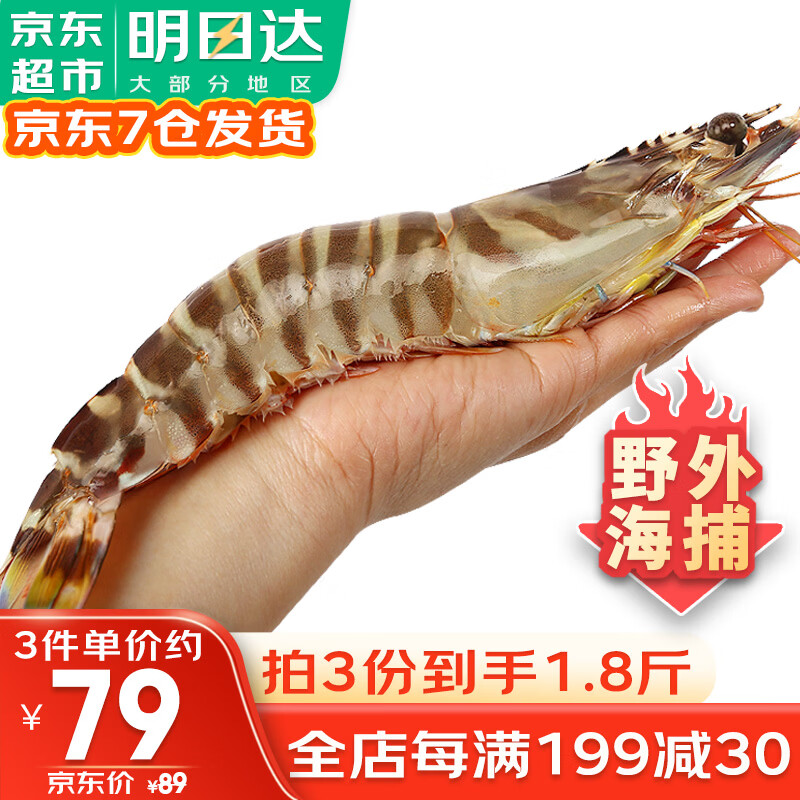 哆鲜生 海捕竹节虾 野外生长活冻国产斑节虾大花对虾九节竹节鬼虾虾类 竹节虾 特大号 5-6条 300g(净重) 