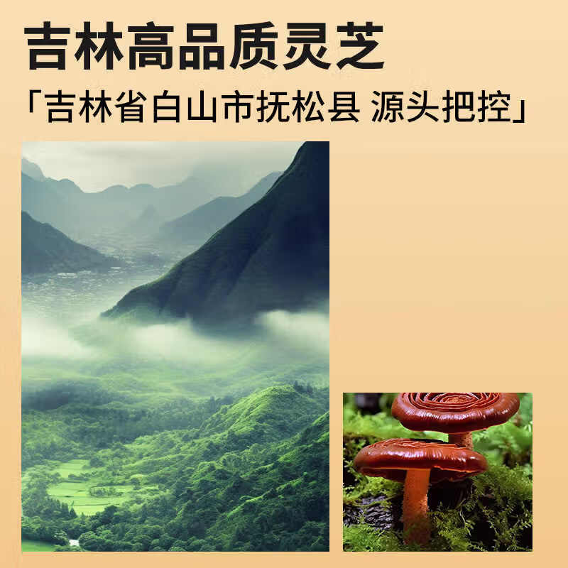 同仁堂北京同仁堂灵芝礼盒(整颗灵芝)250克送父母滋补节日礼品