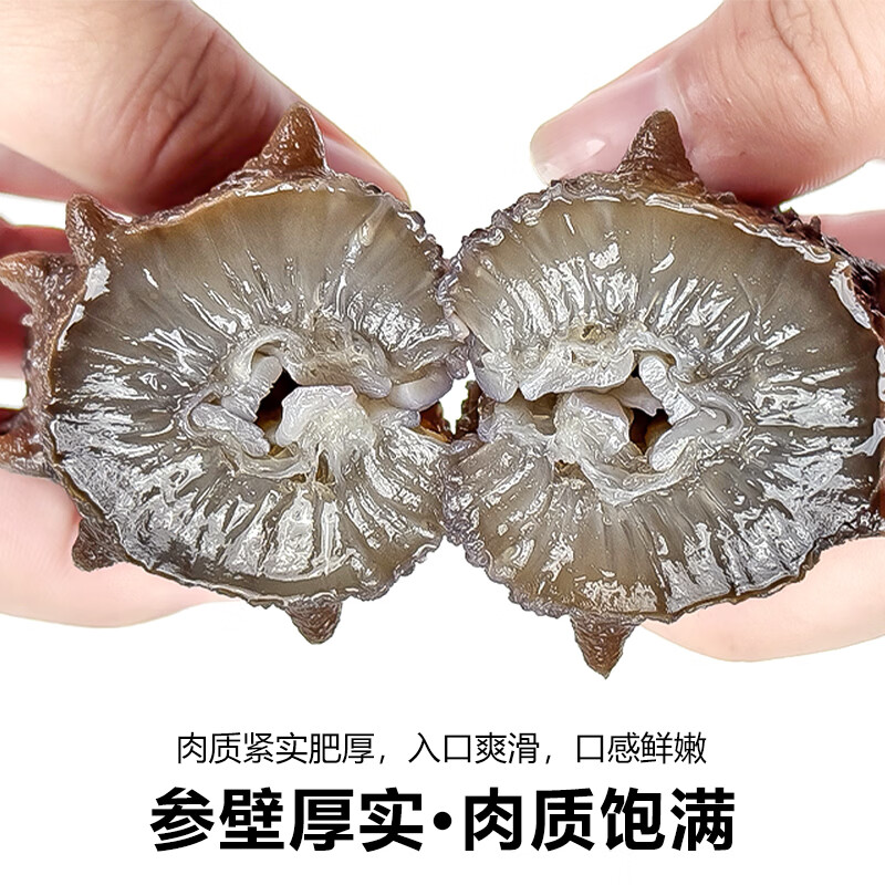 参阿婆鲜蒸即食海参新鲜刺参独立包装冷冻生鲜非淡干干货干参可配礼盒 鲜蒸海参一斤装【到手13-18只】