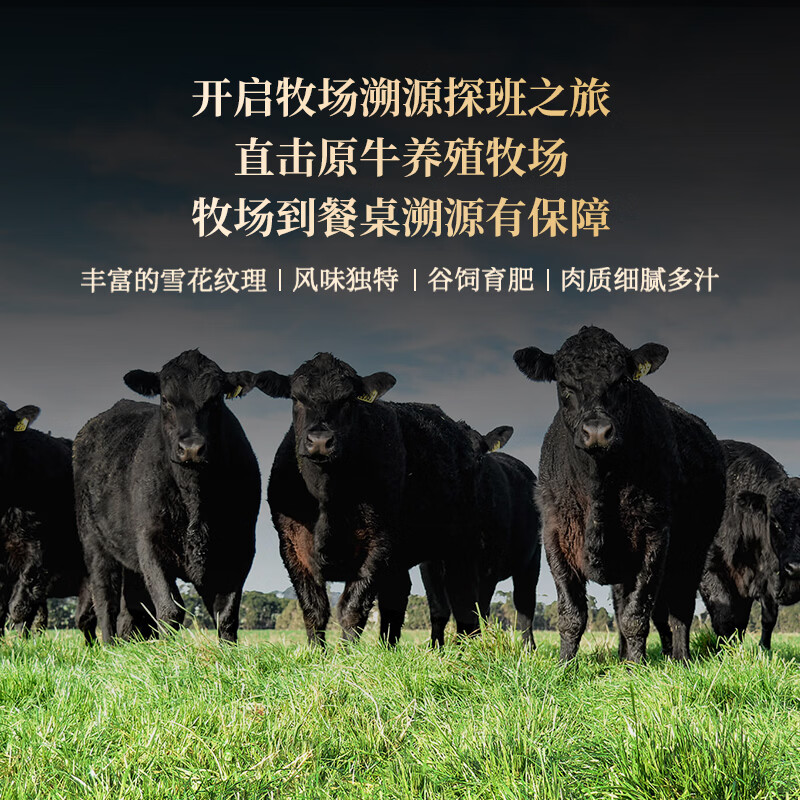 肉天王澳洲谷饲M3原切牛排 净重2斤 雪花牛肉牛扒 进口安格斯生鲜食材 【店长力荐】原切M3牛排1kg
