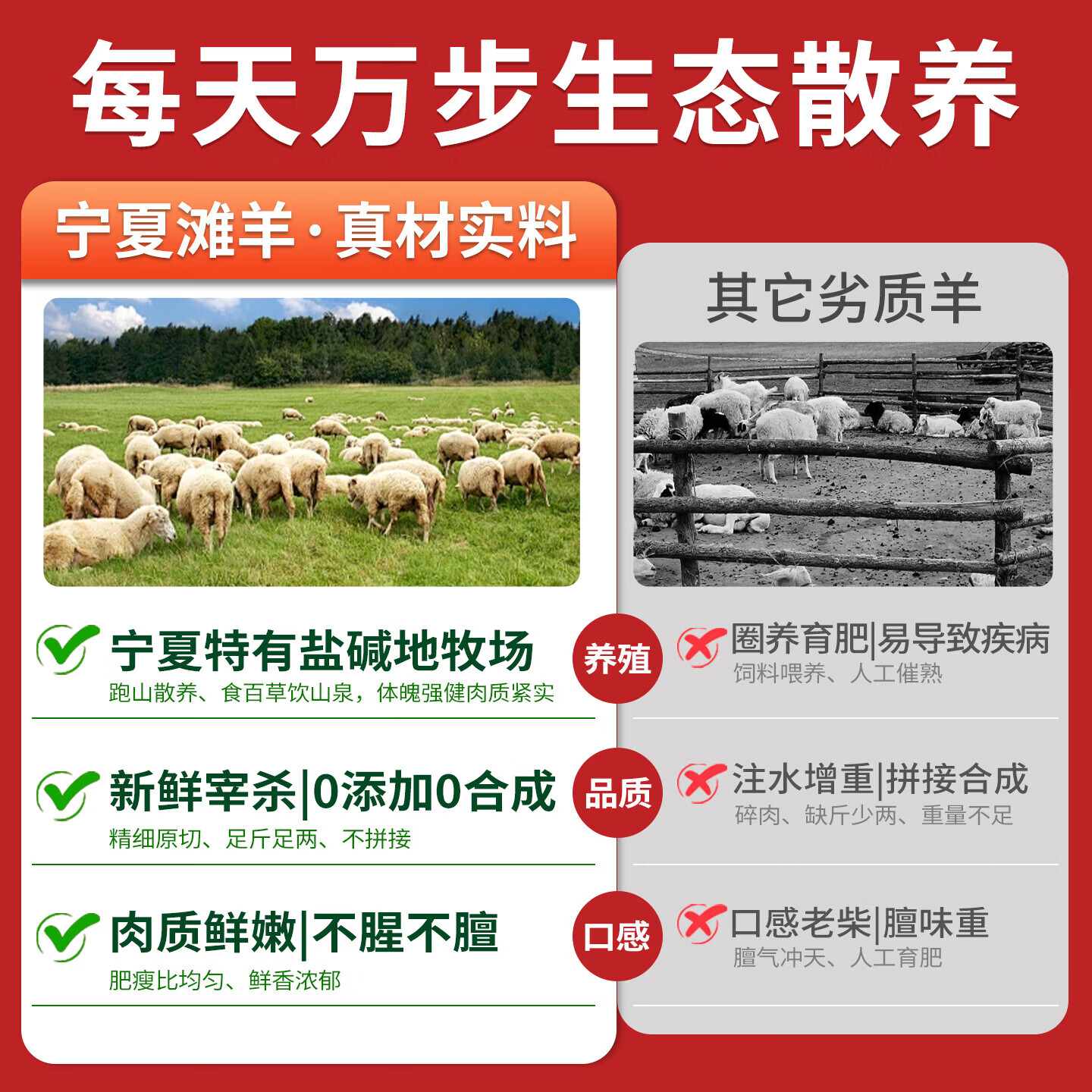 归冬 宁夏滩羊 散养羔羊肉手把肉 新鲜手抓羊肉生鲜手把羊肉 原切手把肉5斤