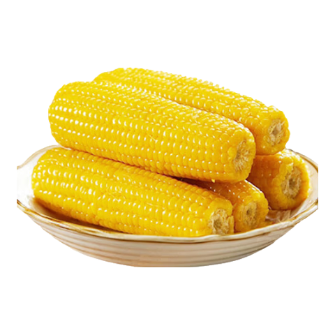 佟创东北黄糯玉米棒 新鲜甜糯玉米 代餐轻食真空包装黏粘玉米蔬菜生鲜 整棒黄糯玉米 8棒装 精品果 220g/棒
