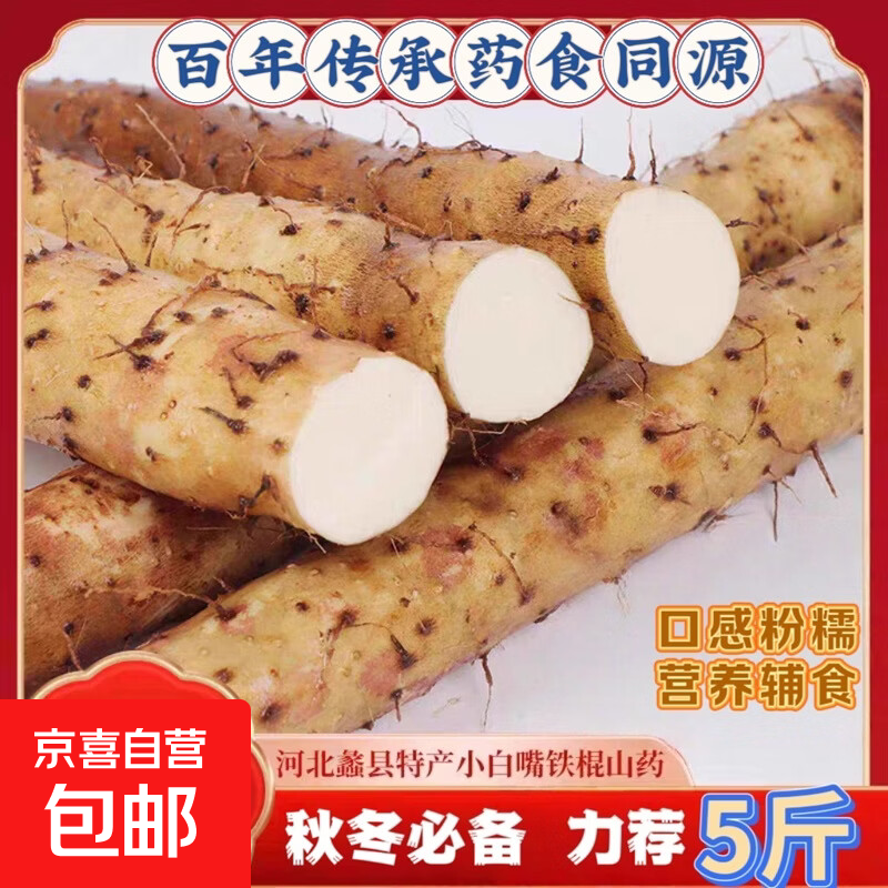 麻山药铁棍山药批发价糯山药粗山药健脾养胃药食同源儿童辅食 1斤装(15cm-20cm)