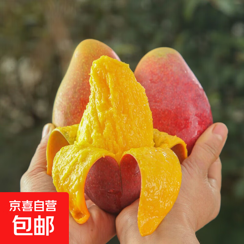 海南贵妃芒生鲜水果现货直发 带箱1斤50-100g