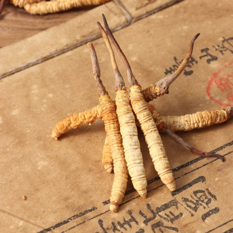 片仔癀冬虫夏草礼盒装 4根/克 头期虫草 送礼长辈滋补礼品 4000/6g/礼盒