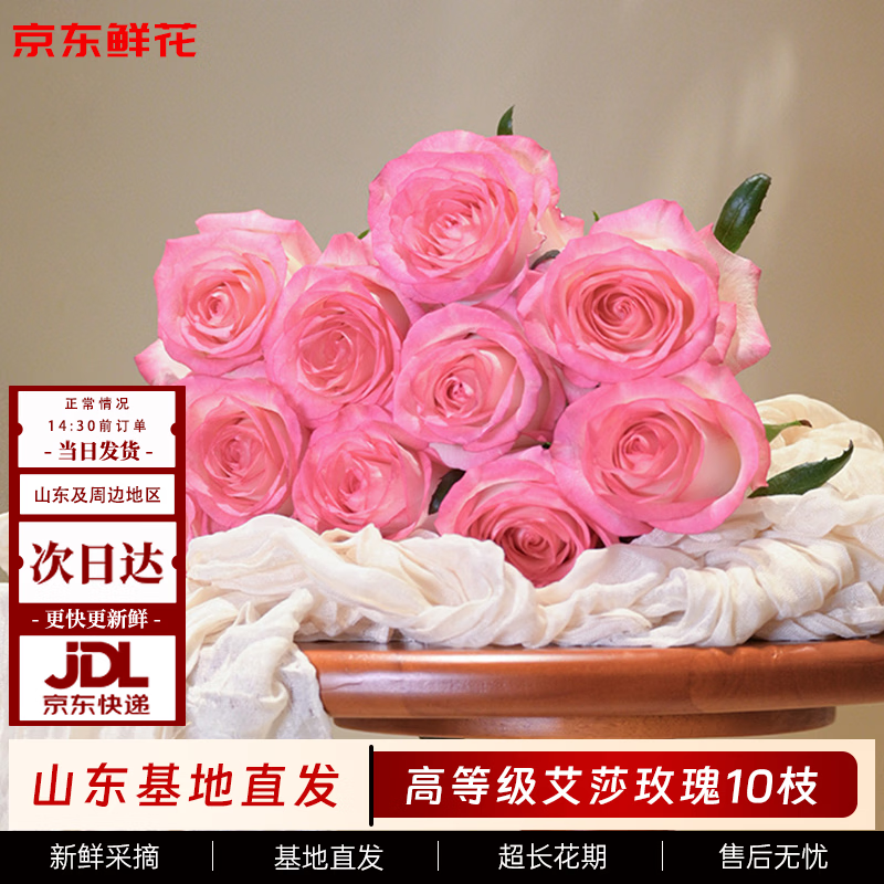 京东鲜花玫瑰花【艾莎】10枝无土栽培枝长50-55cm礼品花山东基地源头直发