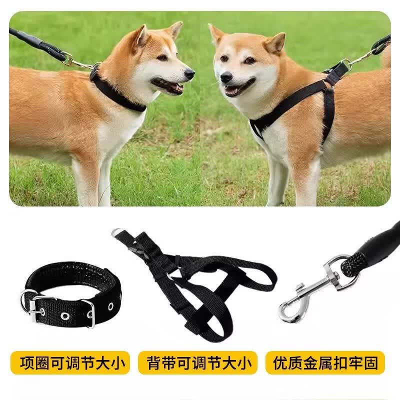 jerry狗狗牵引绳防爆冲项圈绳遛狗泰迪金毛大中小型犬项圈胸背 红色单绳子 3米XL码【约40-60斤】