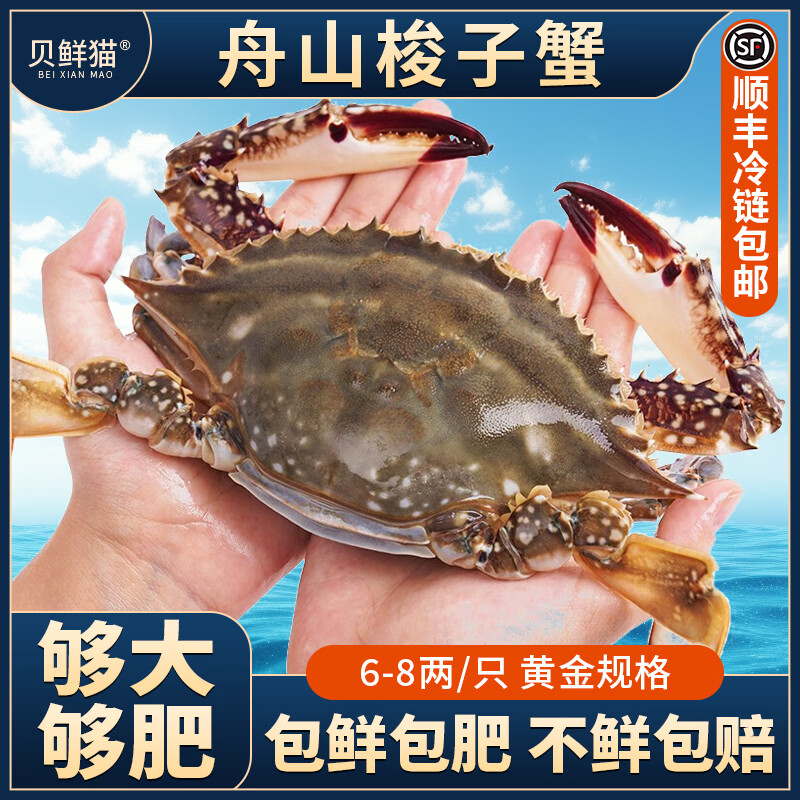 舟山梭子蟹鲜活冷冻特大野生大螃蟹海鲜水产新鲜大肉蟹飞蟹送礼 6斤【6-8两/只】