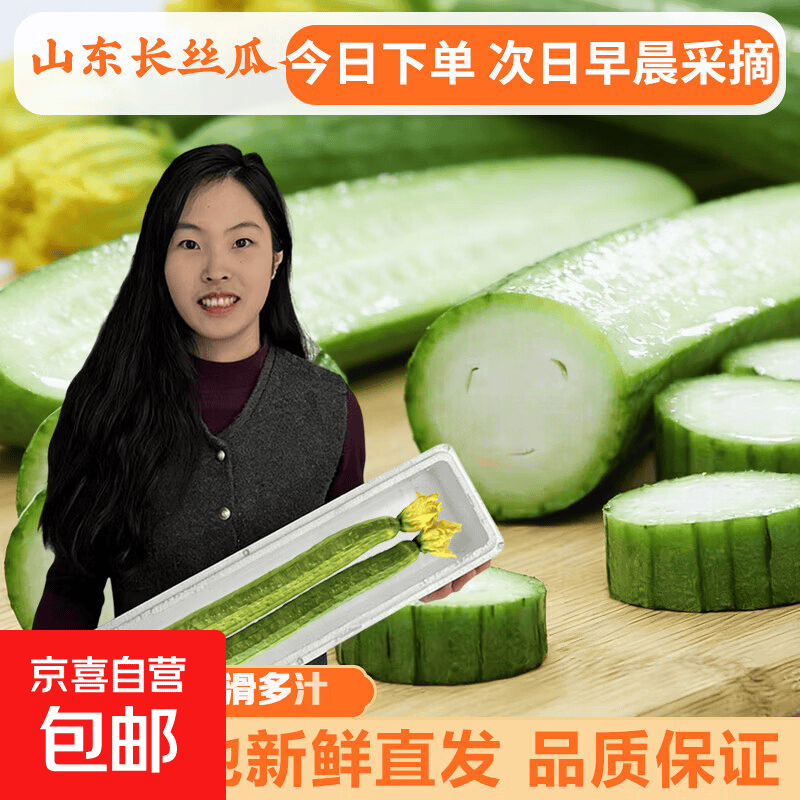 【夏季热销】寿光新鲜绿皮长丝瓜翠玉王丝瓜现摘现发煲汤首选 丝瓜5斤装 4.7斤