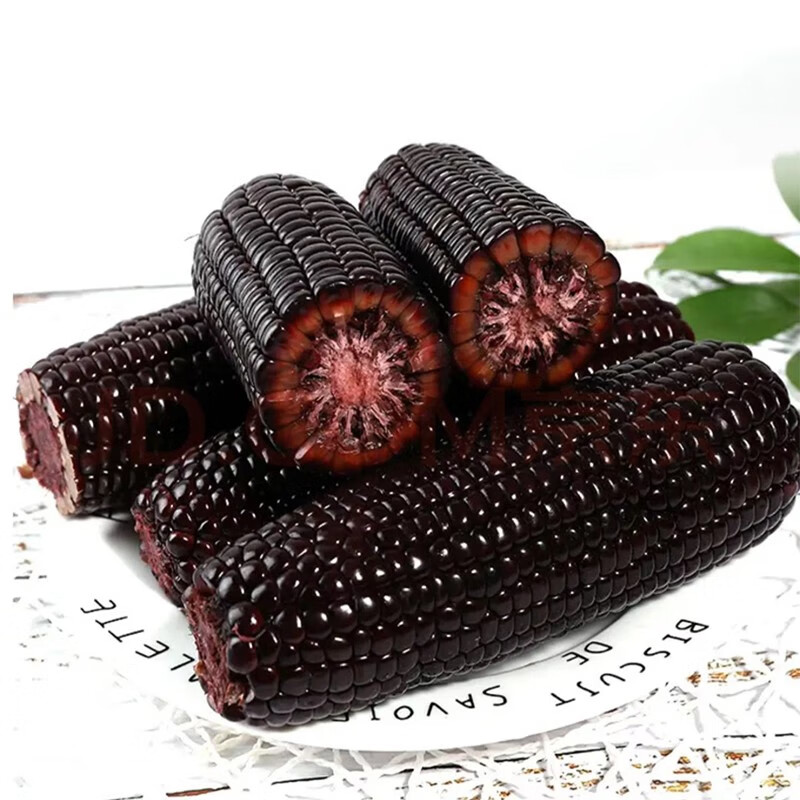 守望乡村(keep w-village go)新鲜东北玉米 新甜黏糯香玉米 真空包装