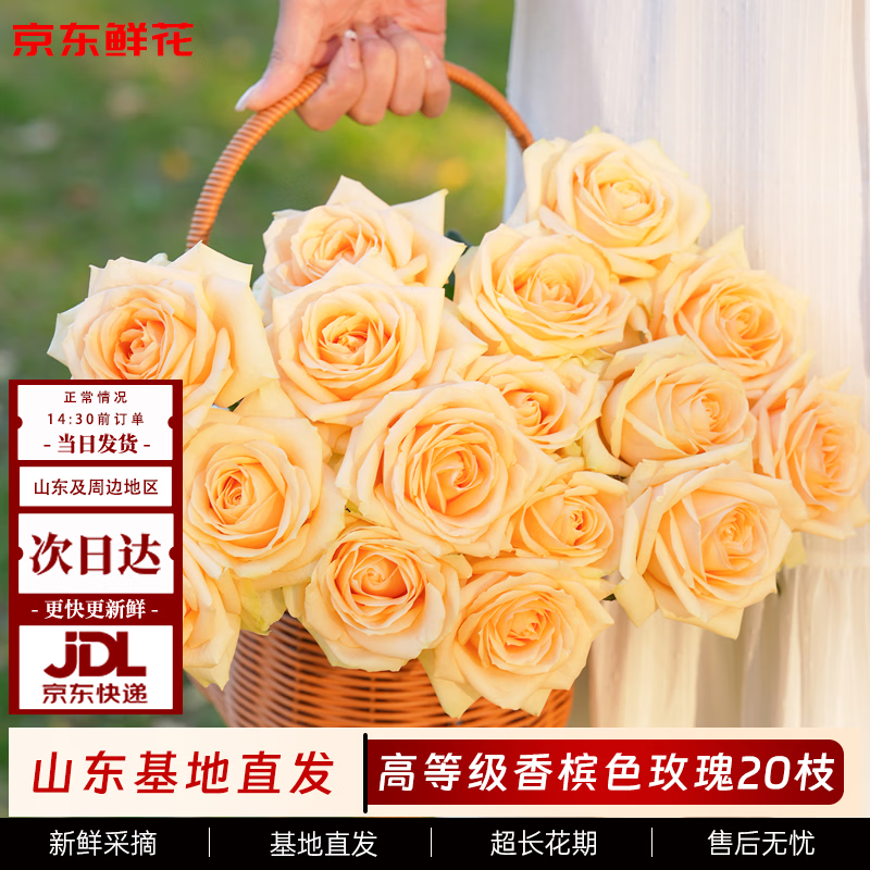 京东鲜花玫瑰花【蜜桃雪山】20枝枝长50-55cm鲜切花礼品花束基地源头直发