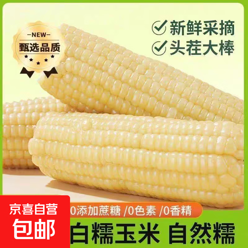 东北真空即食甜糯玉米白糯玉米早餐必备真便宜整箱批发直播间包邮 白糯玉米4根*220g （单根均重220g）