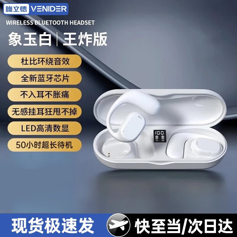 Ψ���� DZ-S09 �������� ������