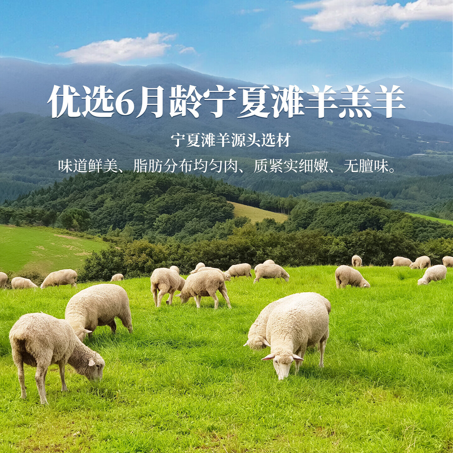 归冬 宁夏滩羊 散养羔羊肉手把肉 新鲜手抓羊肉生鲜手把羊肉 原切手把肉5斤