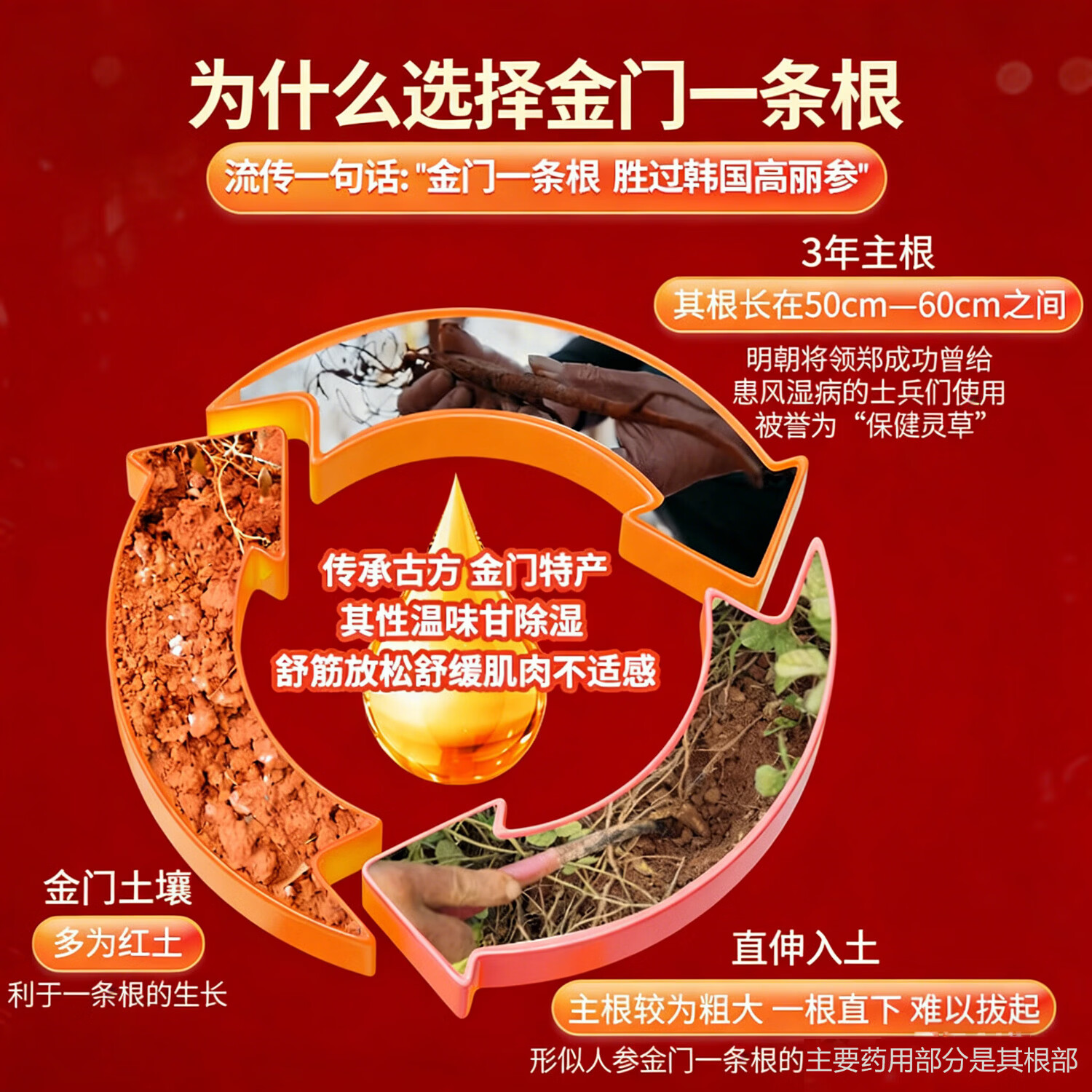 金门一条根台湾原装金牌金门一条根进口精油药贴布贴正品腰椎颈椎舒缓膏i药 一包装【10贴】 跌打损伤中老年人腰酸疏通经络【官i方直营 京质保障