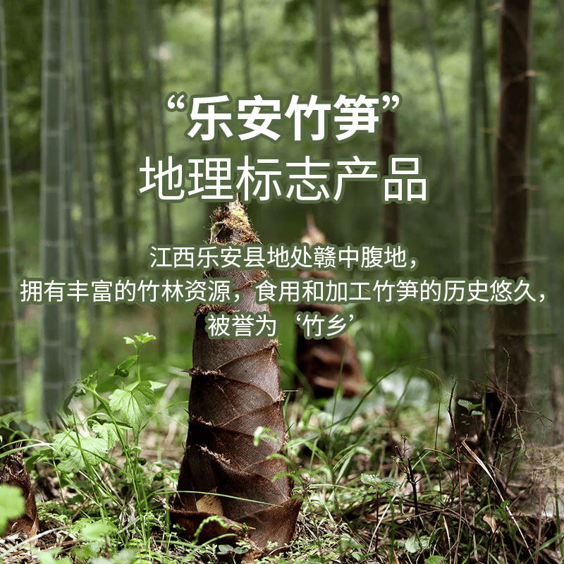 乐安竹笋新鲜小野笋江西竹笋嫩笋尖500g清水竹笋春笋去壳野火锅笋脆嫩笋 【清水笋】10袋*500g