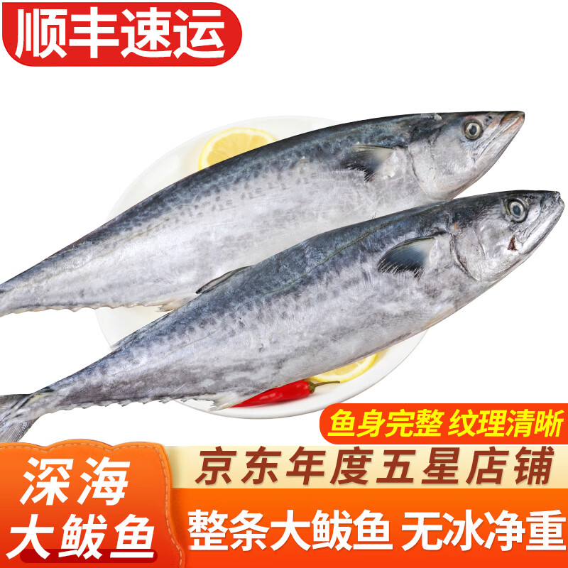 弹指鲜生鲅鱼新鲜冷冻马鲛鱼海捕大鲅鱼整条燕鲅鱼鲐鲅鱼 大鲅鱼1条/2斤【顺丰包邮】