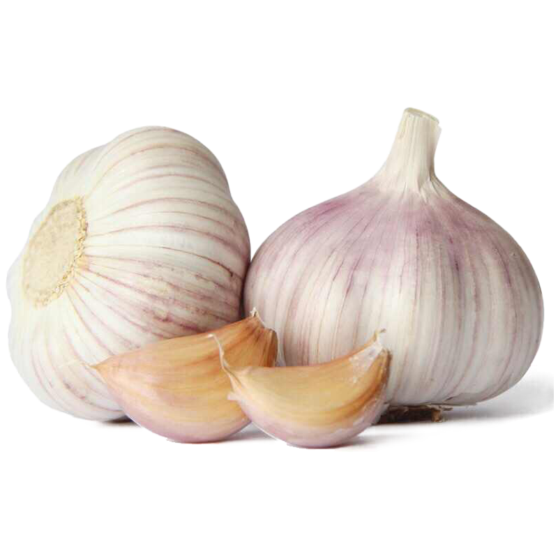 ������ ������ش����Ƥ���ʸ��� ����2�� ����4.5-5cm Դͷֱ������ 11.9Ԫ