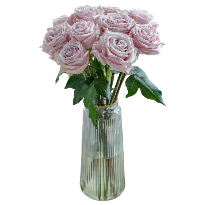 京东鲜花康乃馨20枝随机色鲜切花云南鲜花直发送家人爱人礼物源头直发