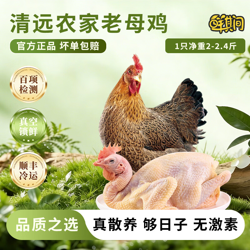 鲜其间【正宗清远鸡】老母鸡土鸡农家散养走地鸡项整只新鲜现杀黄油 老母鸡【二只2-2.4斤净重】深山散养/杂粮喂养自然香 京东冷链配送/深山散养365天/坏单包赔售后稳