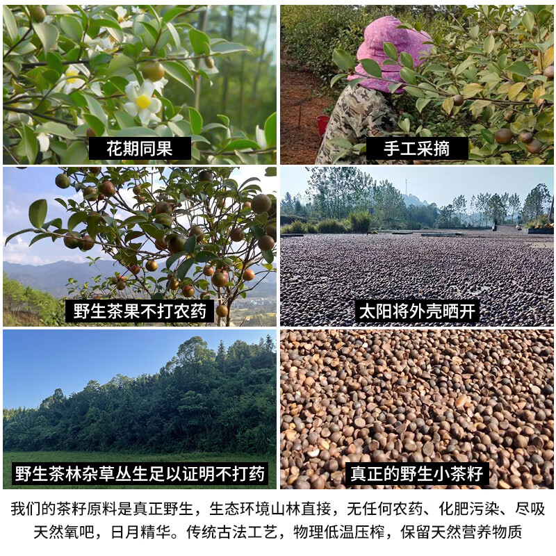 OTHERS5年老茶油婴儿专用山茶油护肤按摩油纯正茶籽油外用去红屁股头垢 60ML(5年老茶油,可外用不可食)