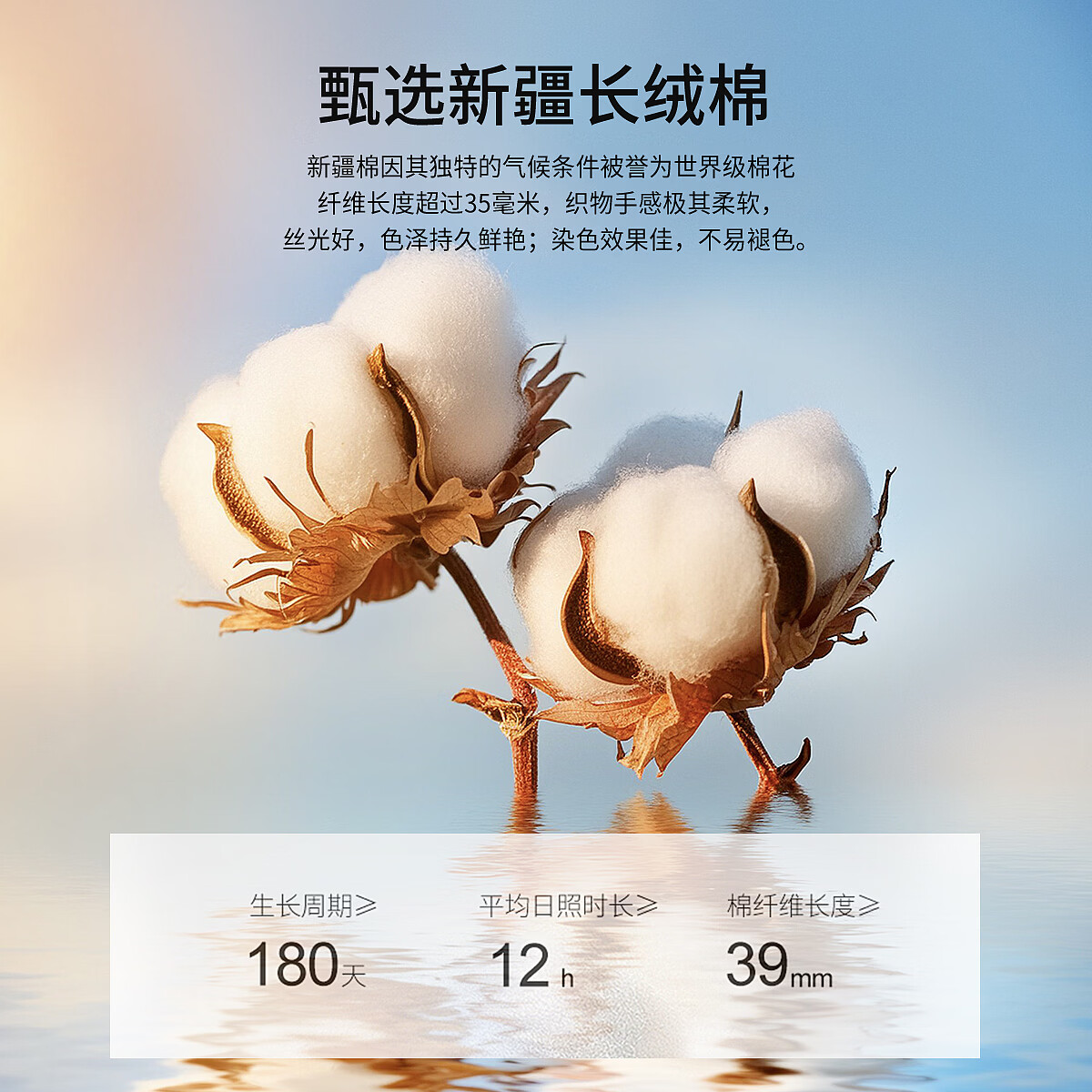 杉杉纯棉亲肤T恤男士夏季26新款商务休闲透气短袖POLO衫父亲节礼物 米其 2XL