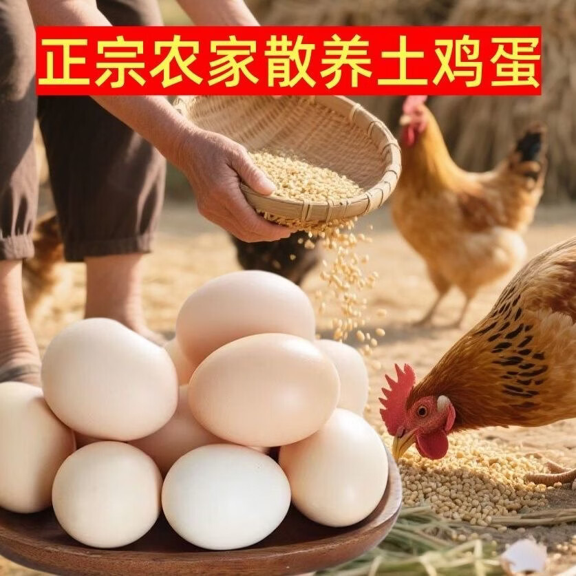 京沭农家散养谷物土鸡蛋新鲜柴鸡蛋农村山林笨鸡蛋初生蛋现拣农场珍珠 50枚