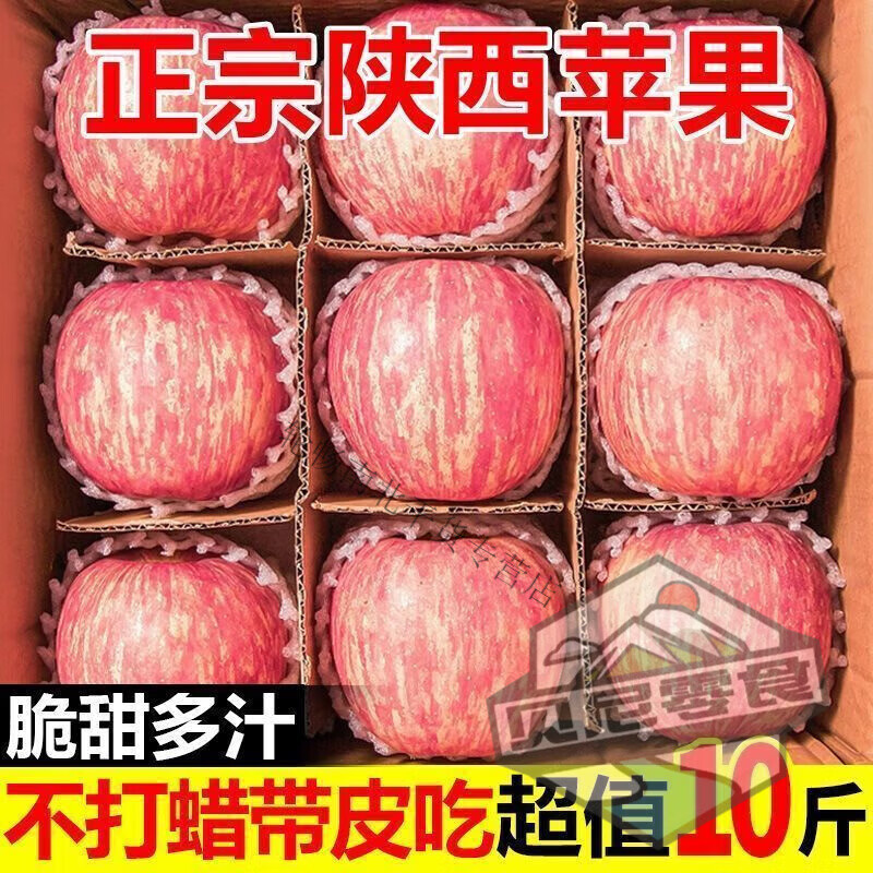 【脆甜】陕西冰糖心红富士脆甜丑苹果干当季水果批发一整箱 带箱9.5-10斤大果[更甜脆]