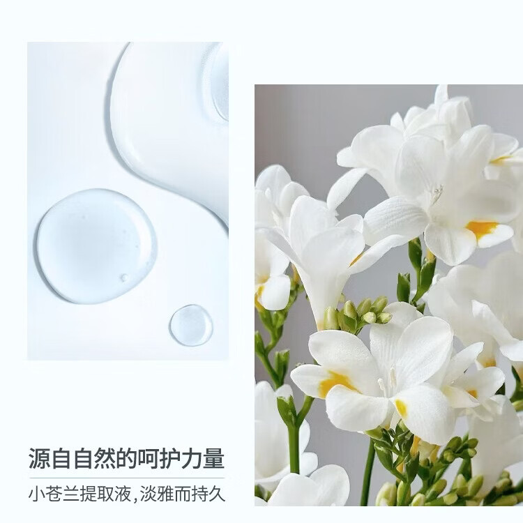 兰研(LANYAN)多活性肽精华液紧致肌肤促胶原淡化细纹保湿舒缓女神节礼物送女友 1瓶40ml