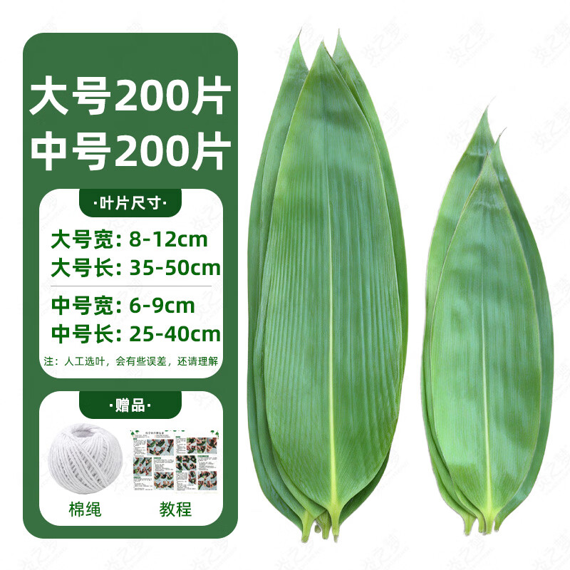 炎之梦®湖南高山粽叶新鲜现摘箬叶端午包粽子专用棕叶商用大粽叶 【大号】200片+【中号】200片（送绳+教程）