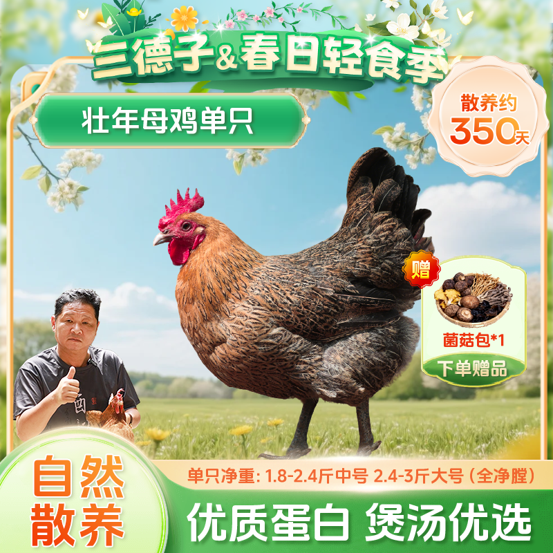 �����Ӻ���ѡ������ĸ��ɢ��Լ350��������ɱ�������� ��ֻ��ţ�����2.4-3�