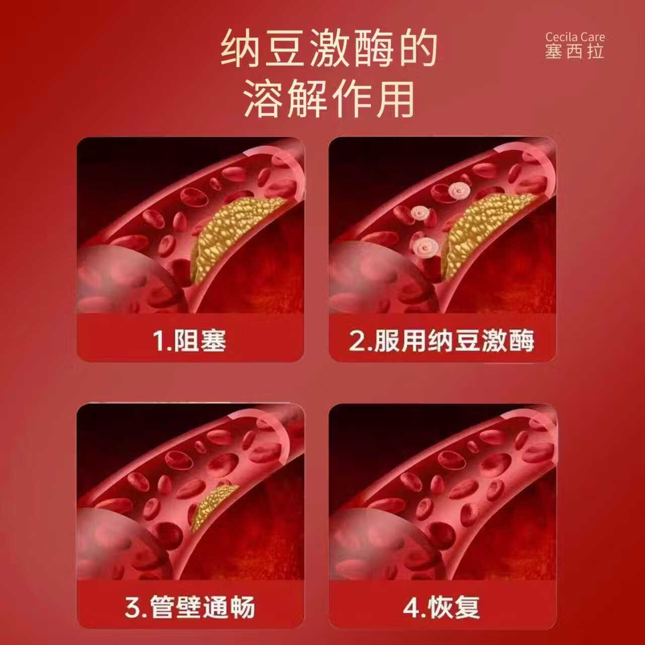 Cecila Care日本原装塞西拉中老年心脑血管健康高分散性激酶纳豆6000FU 高活性纳豆激酶胶囊 60粒*1瓶 6000FU