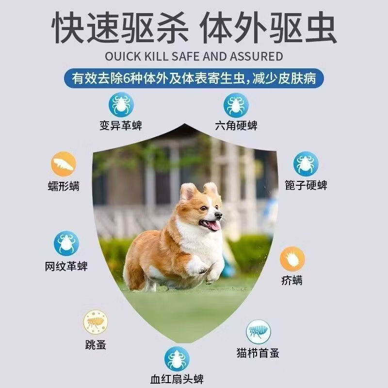 贝卫多宠物体内驱虫药狗狗体内口服驱虫药片 氟雷拉纳咀嚼片 超大型犬 20-40kg 1000mg*1盒 刮码