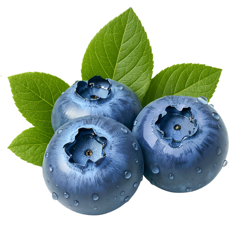 鲁道鲜云南花香蓝莓新鲜果【JD/顺丰-多地次日达】孕妇应季国产水果礼盒 [推荐]4盒装【单盒100-125g】 12mm+【优选现摘】