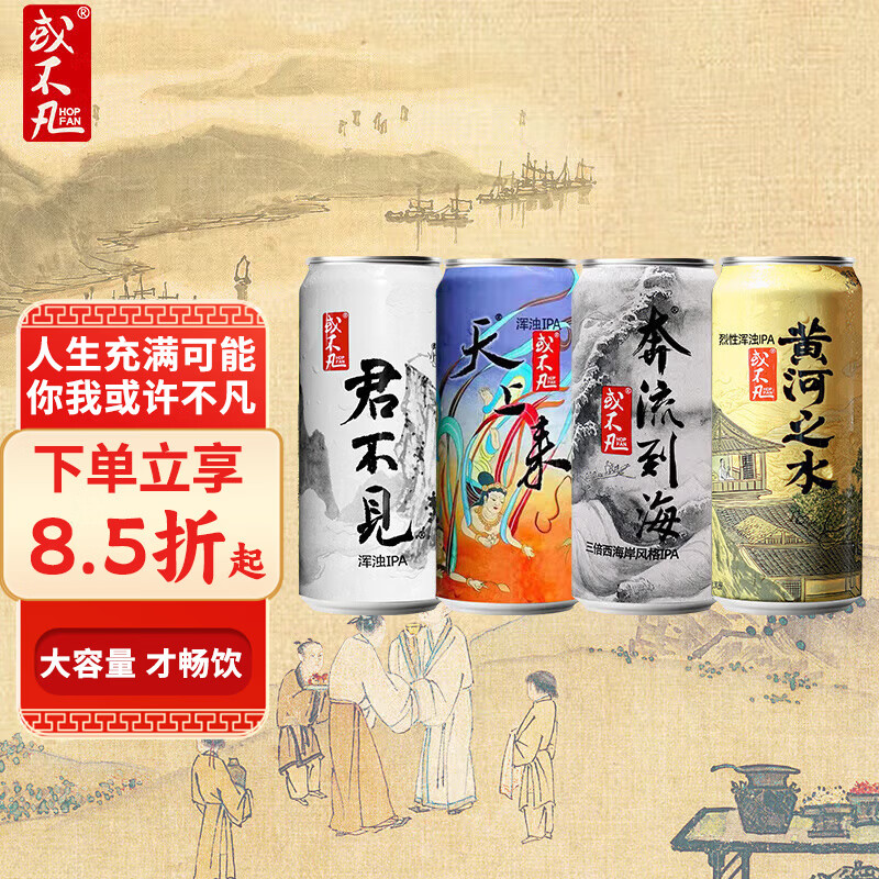 或不凡 国产精酿啤酒 浆进酒连字组合 黄河之水浑浊IPA 果泥 酸啤酒 4口味连字款 500mL 4罐 组合B