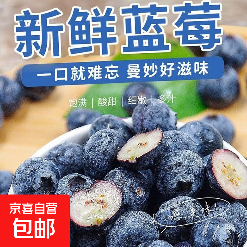 正宗云南高原新鲜采摘蓝莓新鲜水果孕妇宝宝辅食护眼花香蓝莓 蓝莓单果15mm+ 高原蓝莓热卖70g*4盒装