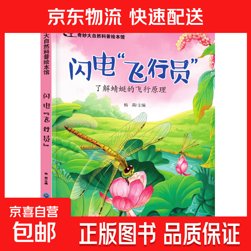 儿童科普绘本启蒙书籍3-6-8岁奇妙大自然幼儿园课外阅读百科全书 闪电”飞行员“ 无规格