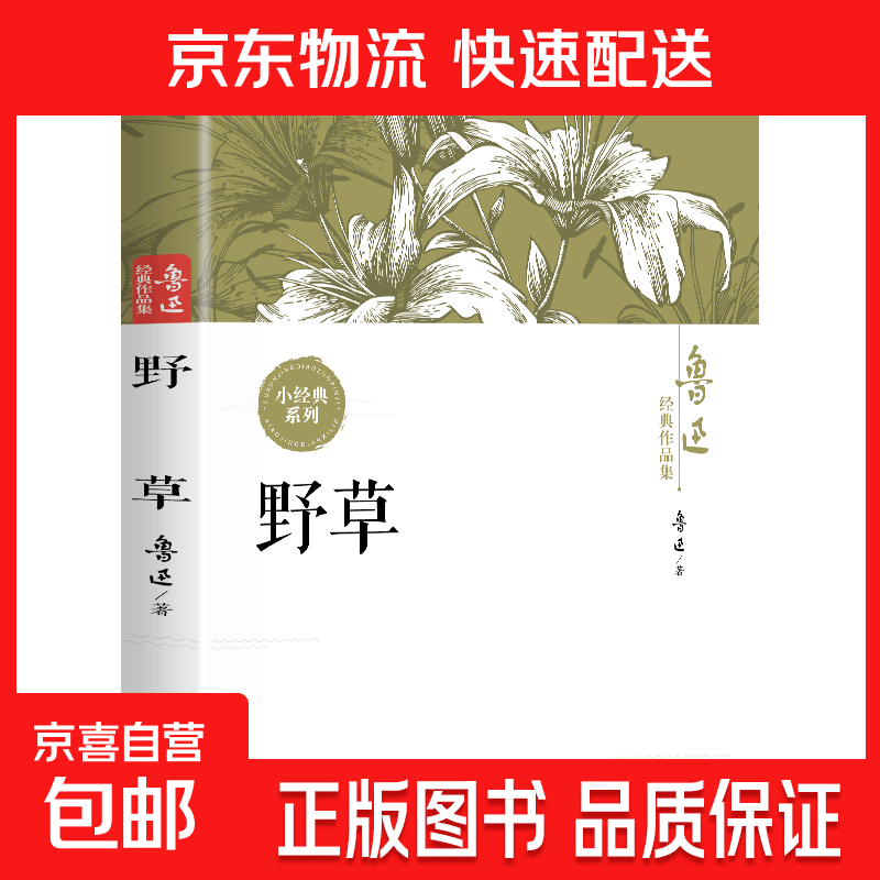 鲁迅经典作品集  呐喊 彷徨 故事新编 狂人日记 野草 故乡 祝福 孔乙己 影响海内外文学巨作学生经典课外阅读 野草
