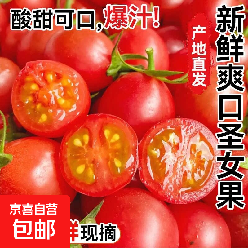 现摘圣女果小番茄西红柿新鲜水果千禧小番茄新鲜蔬菜水果酸甜可口 精选新鲜 3斤 泡沫箱包装