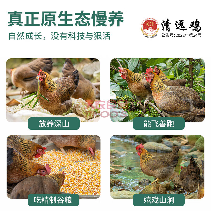 天农 定养168原种清远鸡 2斤 供港整鸡肉生鲜 生态散养土鸡走地鸡 168原种清远鸡2斤*2只