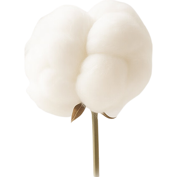 巴拉巴拉【balaOne】兒童連褲襪子寶寶打底褲女童舞蹈襪甜美百搭