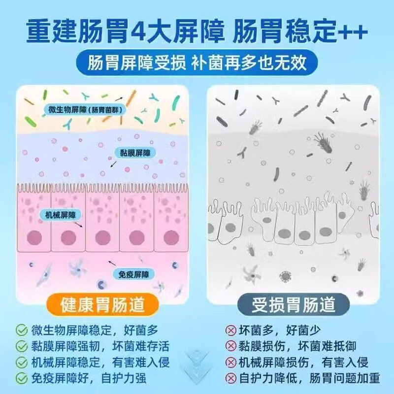 舒伯特益生菌孕妇肠胃调理成人肠道脾胃虚弱塑身瘦子菌养胃粉30袋 益生菌 30条*3盒