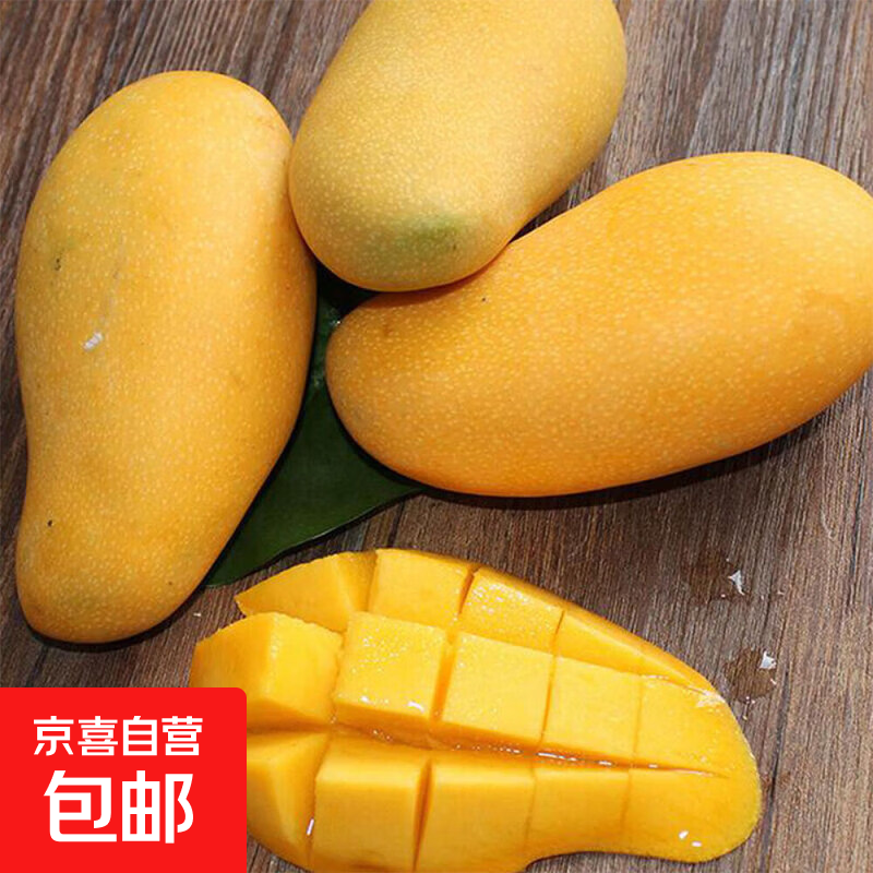 芒果金煌芒水仙玉芒果青皮大芒果甜心芒新鲜水果次日孕妇达送礼 净重2斤装 【一人食】 甄选特级果【单果200g+】