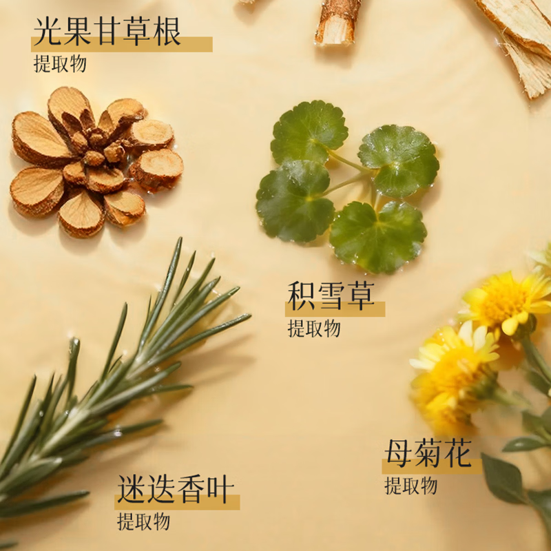 蔻辰(CORZEN)【徐楠楠】DNA钠三文鱼多肽眼霜 蔻辰 DNA钠三文鱼多肽抗皱眼霜