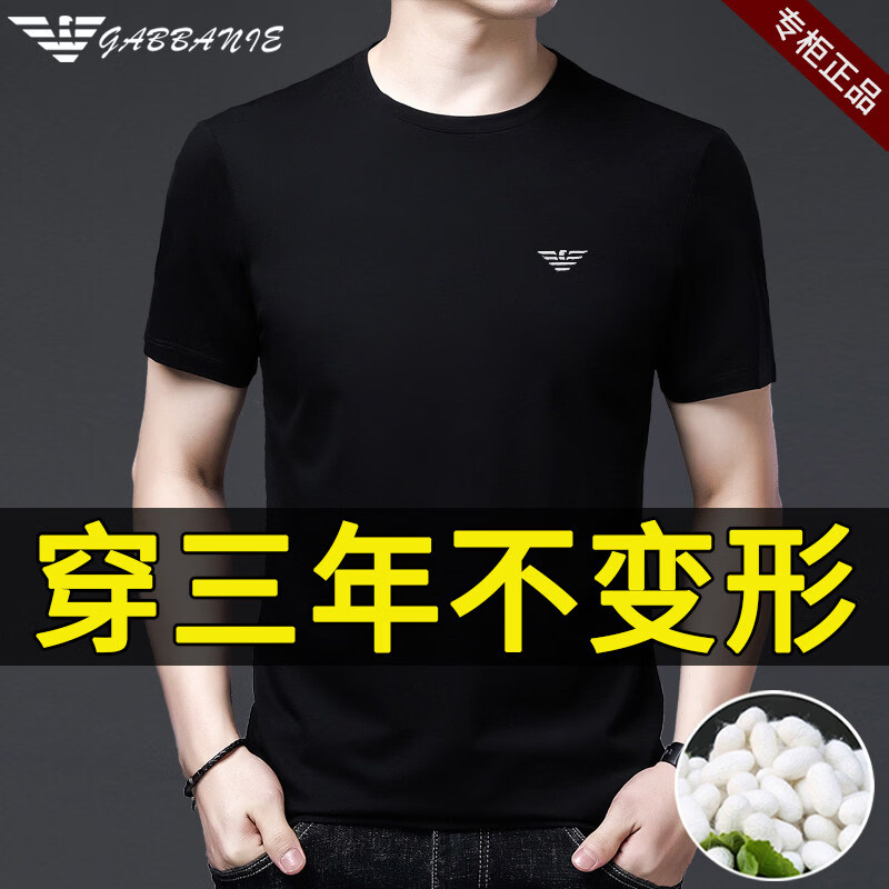 GABBANIE意大利正品高端桑蚕丝男士短袖t恤夏季纯色圆领名牌半袖体 国际一线品牌白色-V领 XL 175_【建议135-150斤】
