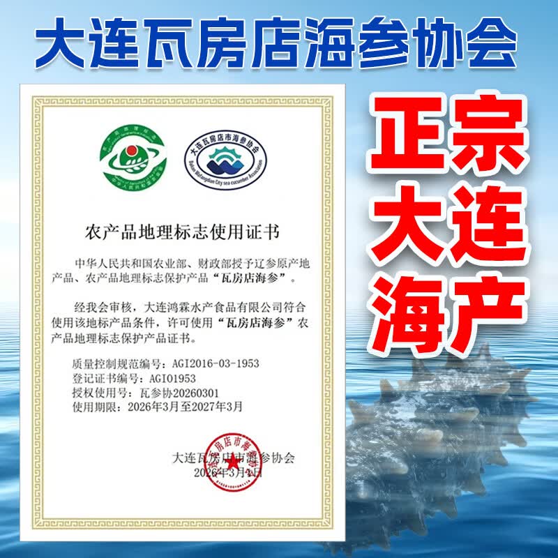 亿鲜笙海参即食大连鲜活野生辽参非干货海参孕妇刺参礼盒500g单个装 4-8只/斤【大号】地标认证辽参 2斤装【实惠滋补】
