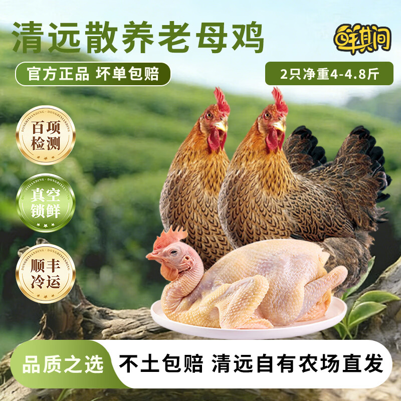 鲜其间【正宗清远鸡】老母鸡土鸡农家散养走地鸡项整只新鲜现杀黄油 老母鸡【二只2-2.4斤净重】深山散养/杂粮喂养自然香 京东冷链配送/深山散养365天/坏单包赔售后稳