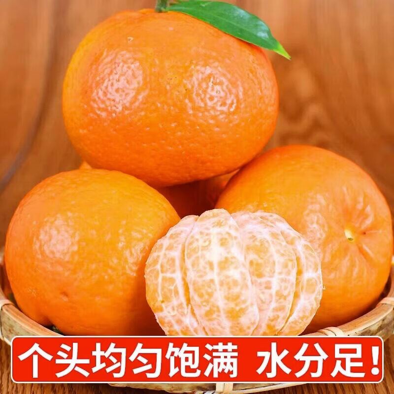 JDBMO沃柑现摘新鲜爆甜水果当季柑橘蜜桔子整箱 5斤实惠装净重4.5斤 60-65mm丨高性价比